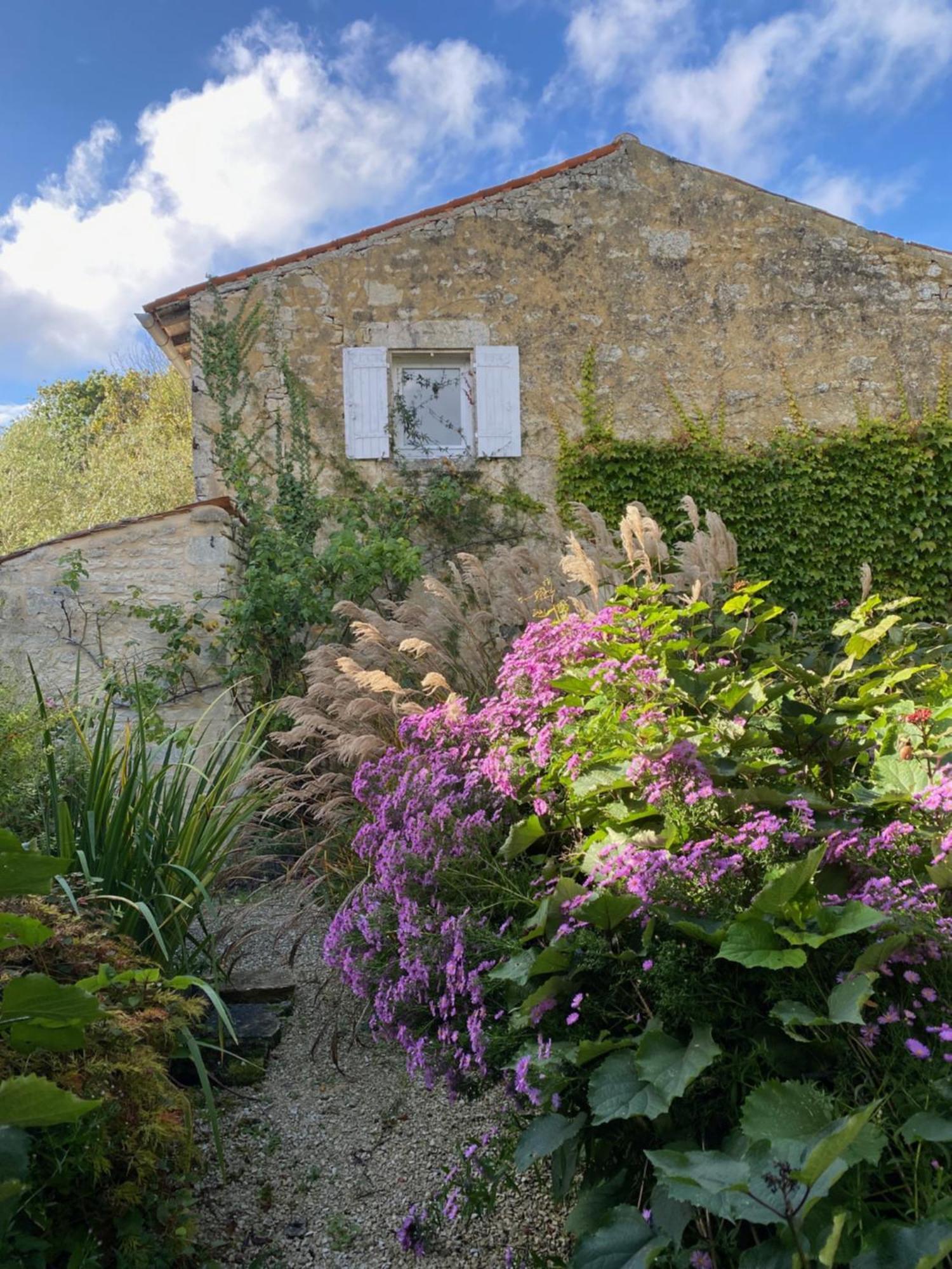 Aux Agapanthes, Chambres D'Hotes Charentaises De Charme Avec Piscine Aumagne Bagian luar foto